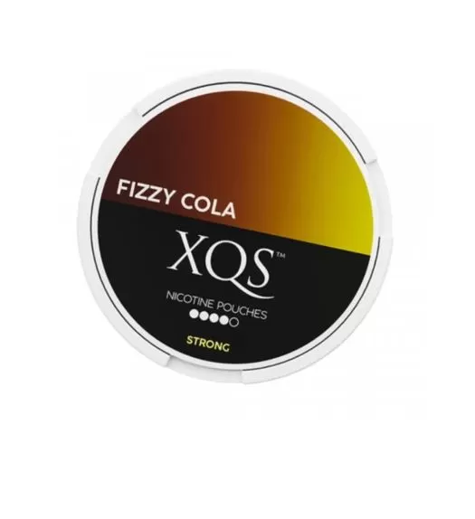 XQS Nicotine Pouches - 4 mg / Blueberry Mint - Image 3