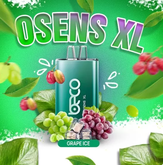 Beco Osens XL Disposable Vape (10,000 Puffs) - 50 mg / Strawberry Watermelon - Image 3