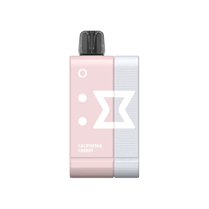 Off-Stamp SW9000 Rechargeable Disposable KIT - 9000 Puffs - Juicy Peach - Image 3