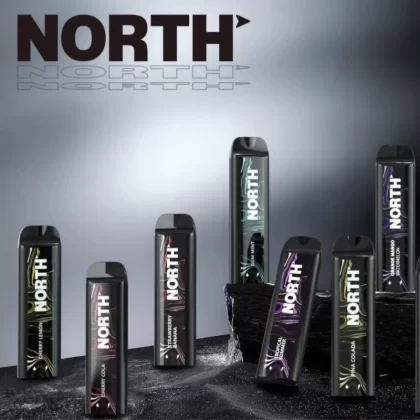 NORTH 5000 Rechargeable Disposable Device – 5000 Puffs - Mocha Frappe