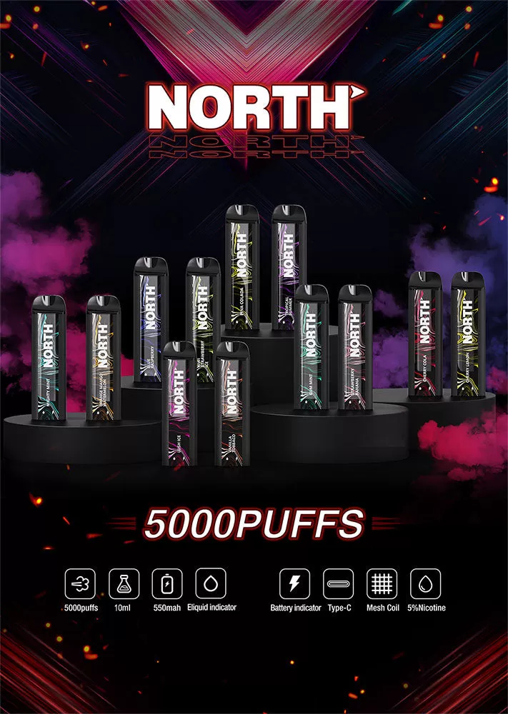 NORTH 5000 Rechargeable Disposable Device – 5000 Puffs - Mocha Frappe - Image 3