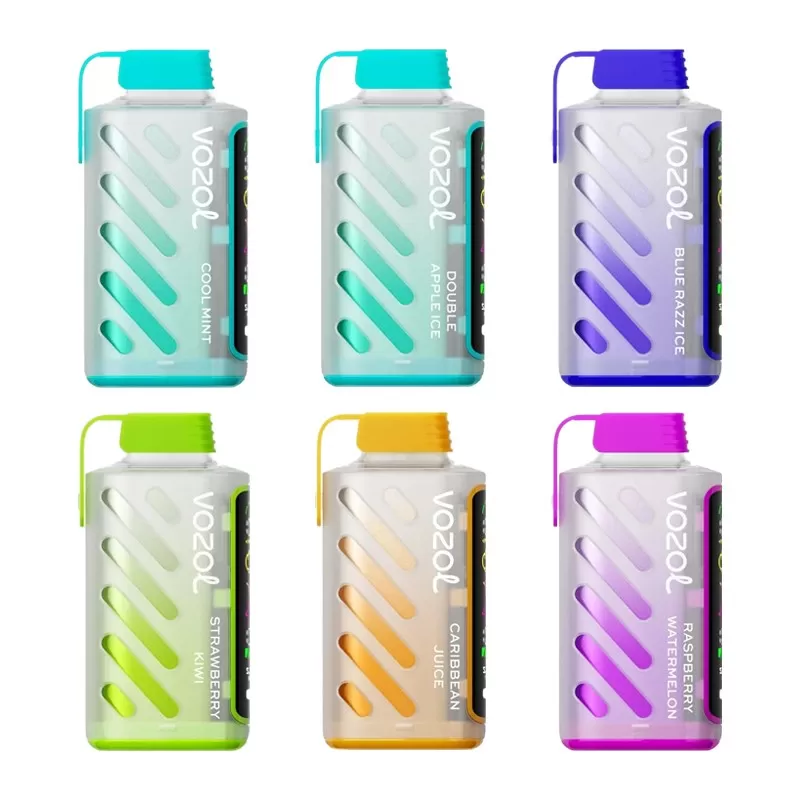 VOZOL Gear Power 20000 Rechargeable Disposable Kit (LED Display) - Blueberry Strom