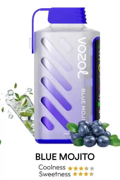 VOZOL Gear Power 20000 Rechargeable Disposable Kit (LED Display) - Blueberry Strom - Image 3
