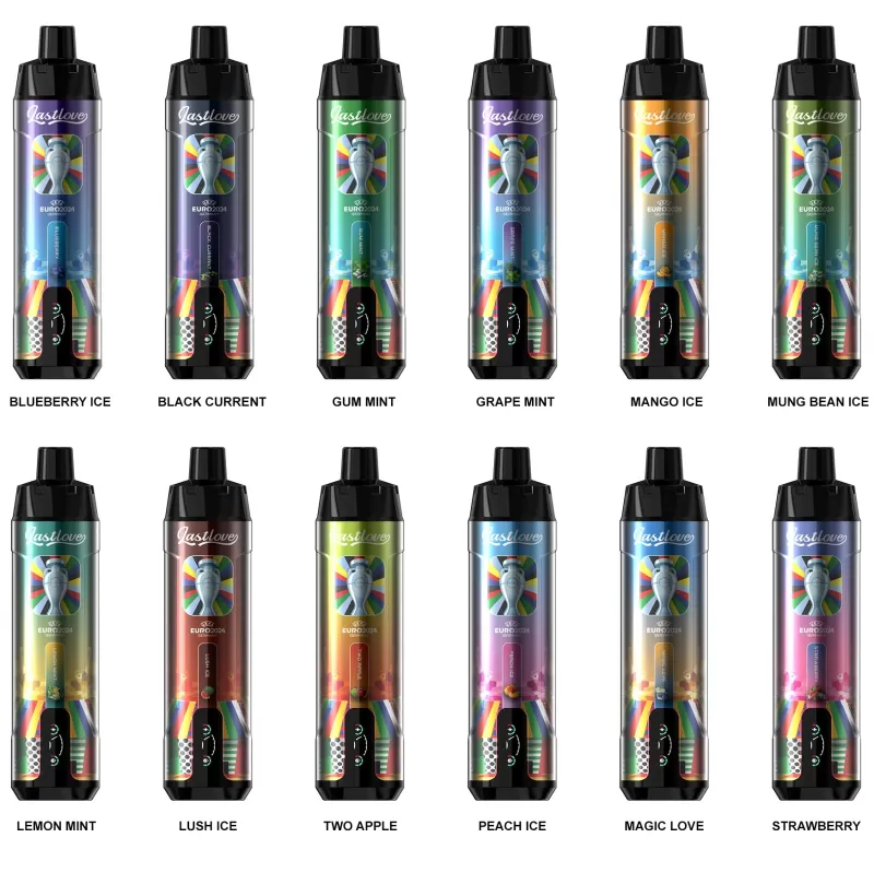 Last Love 20000 Puffs Rechargeable Disposable Kit (EURO2024) - Gum Mint