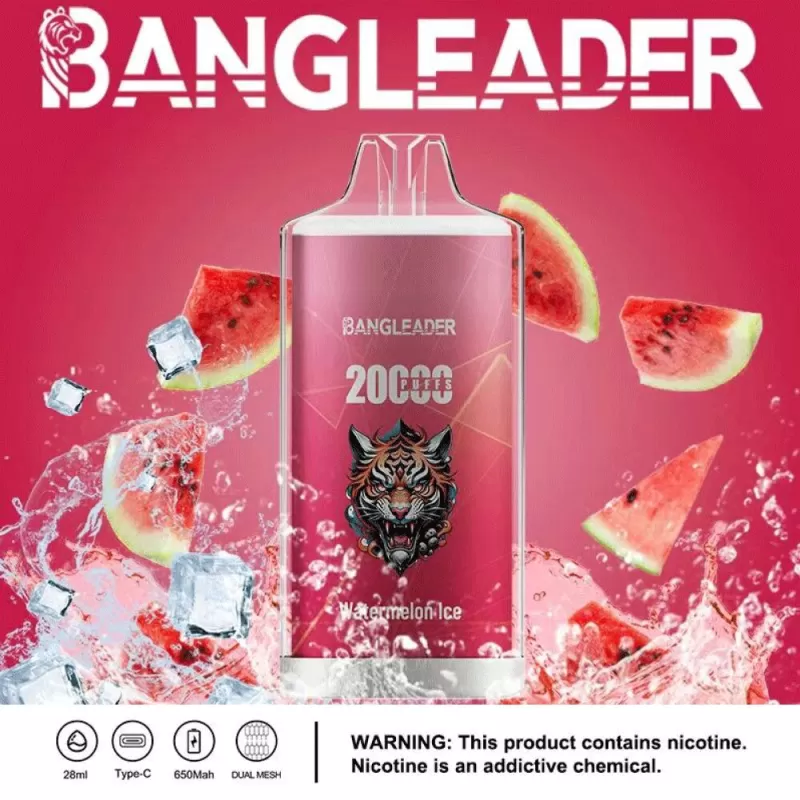 Bang Leader 20000 20K Puffs Newest Product Disposable Vape - Image 2