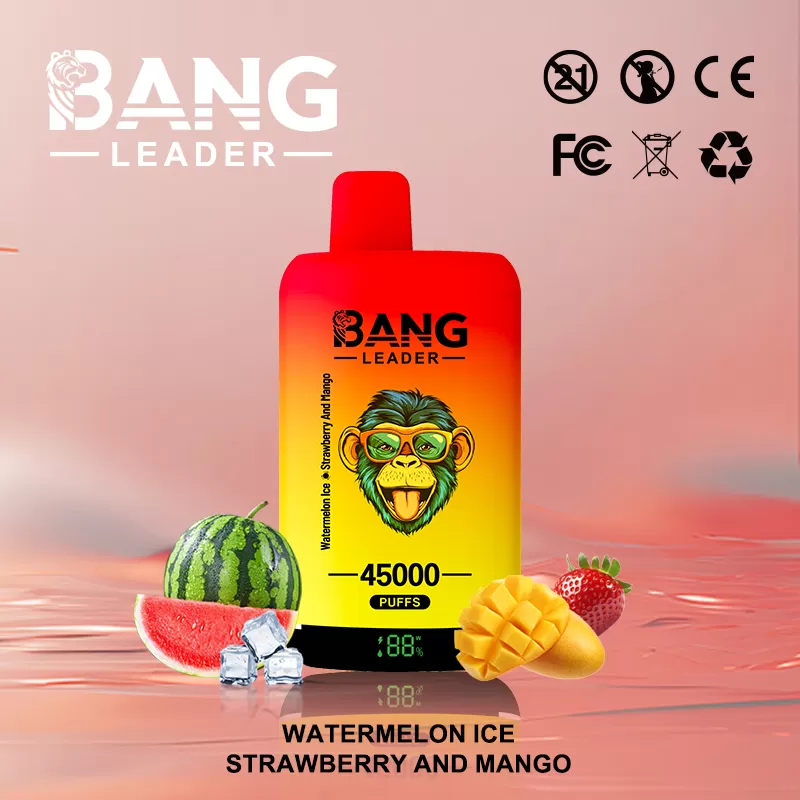 Bang Leader 45000 45K Puffs 2% 3% 5% Nicotine Double Taste LED Display Disposable Vape - Image 3