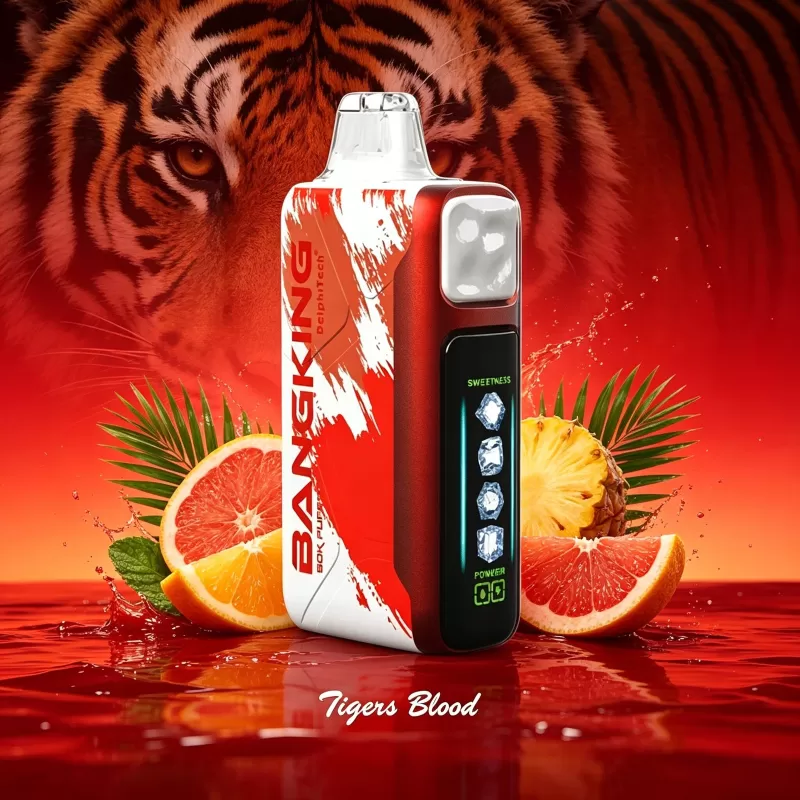 Bang King Ice Cool 60000 60K Puffs Adjustable Ice Level LED Display Disposable Vape Japan warehouse - Image 3