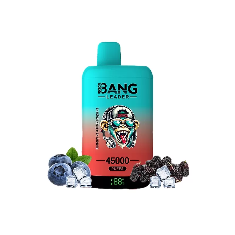 Bang Leader 45000 45K Puffs Double Taste LED Display Rechargeable Disposable Vape EU Warehouse - Image 2