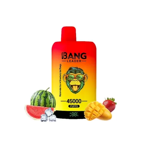 Bang Leader 45000 45K Puffs Double Taste LED Display Rechargeable Disposable Vape EU Warehouse - Image 3
