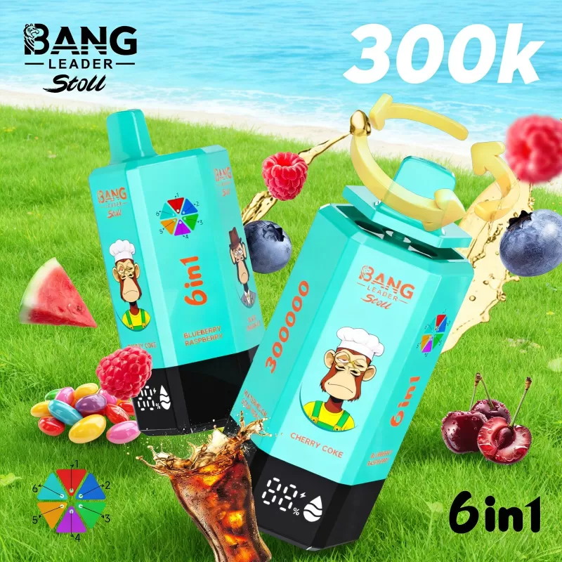 Bang Leader 300K 300000 Puffs 6 in 1 Flavors & 6 oil tanks Rechargeable LCD Display Disposable Vape EU Warehouse - Image 2