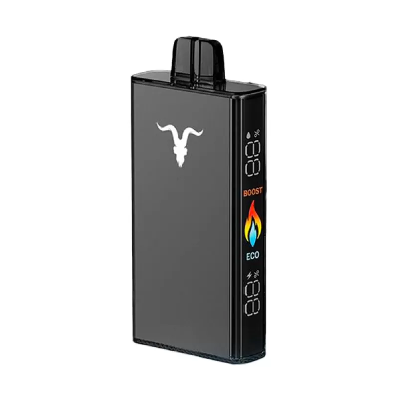 IGNITE V250 Disposable Vape 25000 PUFFS in Dubai UAE - Image 3