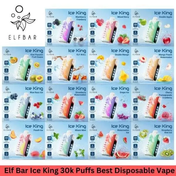 ELFBAR Ice King Disposable Vape 30000 Puffs – Best Vape - Image 2