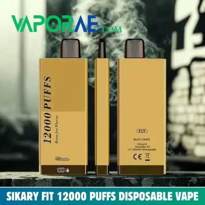 SIKARY FIT 12000 Puffs Disposable Vape 20mg/ml nicotine In UAE