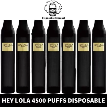 HEY LOLA Disposable UK BRAND 2% 4500 Puffs Rechargeable Vape in Dubai, UAE