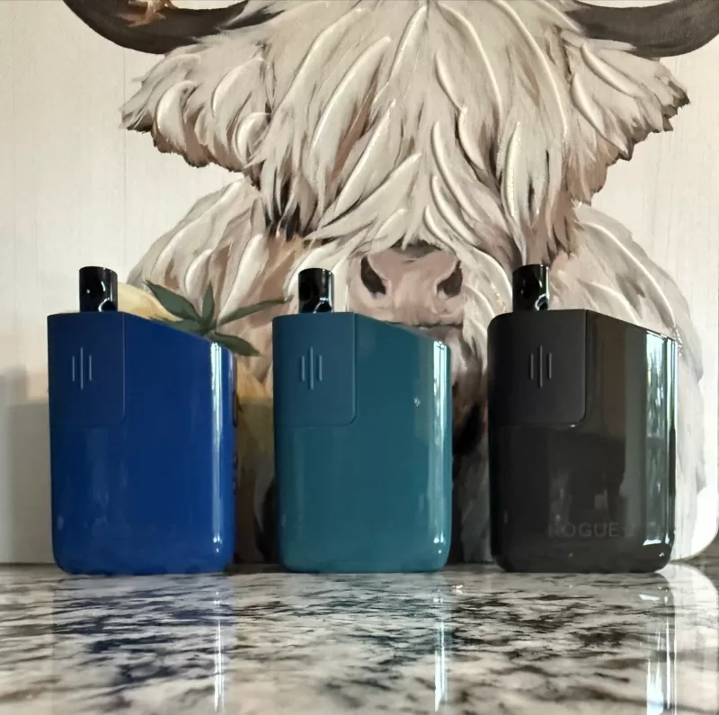Healthy Rips ROGUE 2 – Portable Vaporizer - Image 3