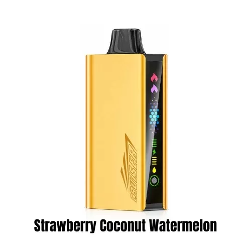 Strawberry Coconut Watermelon – JNR Cruiser - JNR / Non-rechargeable / Large / Coconut / Strawberry / Watermelon