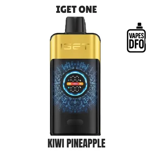 Kiwi Pineapple – IGET ONE - IGET / Large / Non-rechargeable / Kiwi / Pineapple