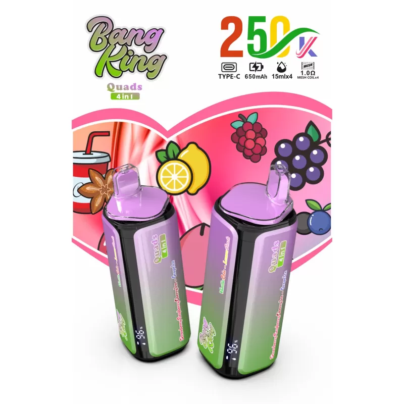 Bang King 250K | 4-in-1 quad option, 250000 puffs, long-lasting, bulk disposable vape - Image 2