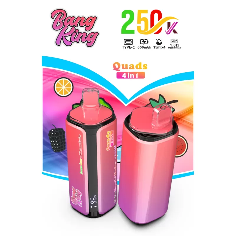 Bang King 250K | 4-in-1 quad option, 250000 puffs, long-lasting, bulk disposable vape - Image 3