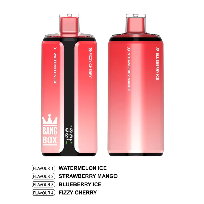 Bang Box 160K | 4-in-1 160000 puffs, quad option, 1.0Ξ© mesh coil, LCD display, 0%-5% strength, rechargeable bulk disposable vape - Image 2