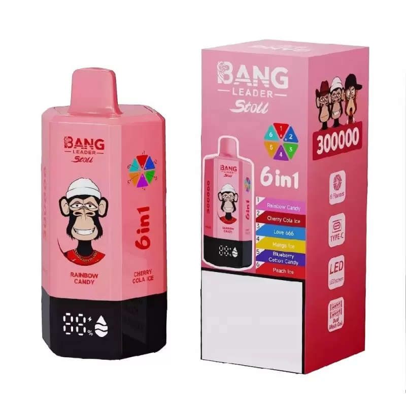 BANG LEADER STOLL 300K | 6-in-1 300000 puffs, rechargeable, bulk disposable vape