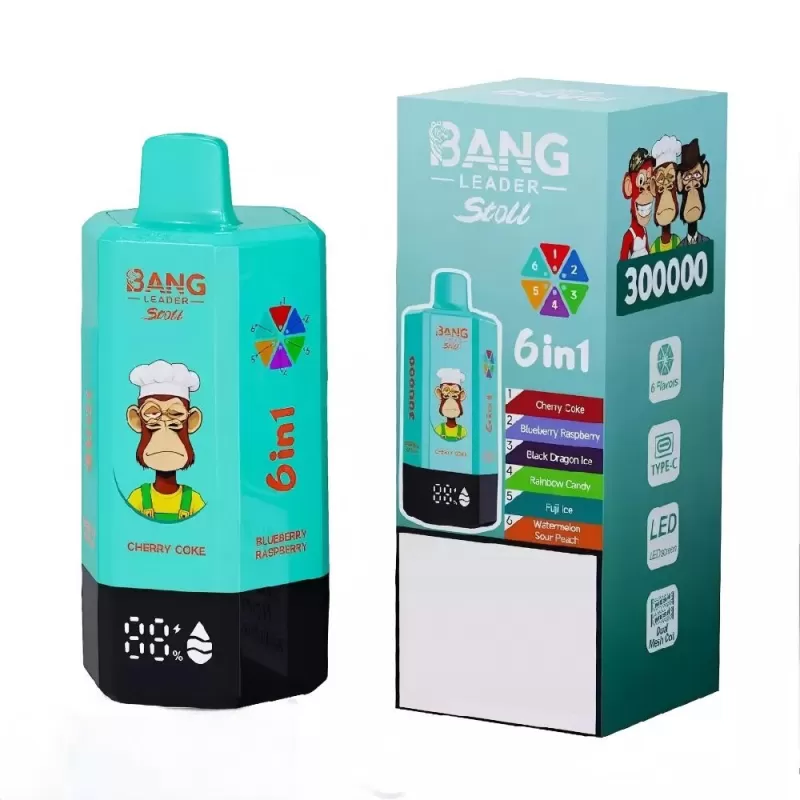 BANG LEADER STOLL 300K | 6-in-1 300000 puffs, rechargeable, bulk disposable vape - Image 2
