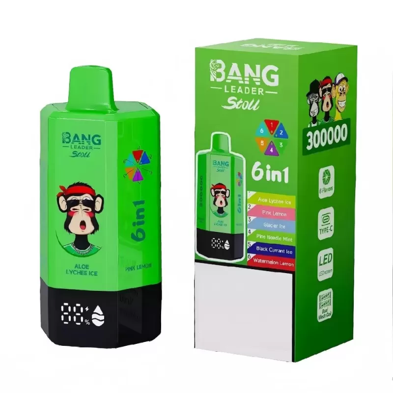 BANG LEADER STOLL 300K | 6-in-1 300000 puffs, rechargeable, bulk disposable vape - Image 3