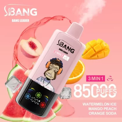 Bang Leader 85K | 3-in-1 triple option, 85000 puffs, 70ml, bulk disposable vape