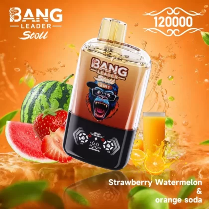 Bang Leader 120K | 2-in-1 120000 puffs, 60 ml, magnetic, dual-option, disposable vape, wholesale