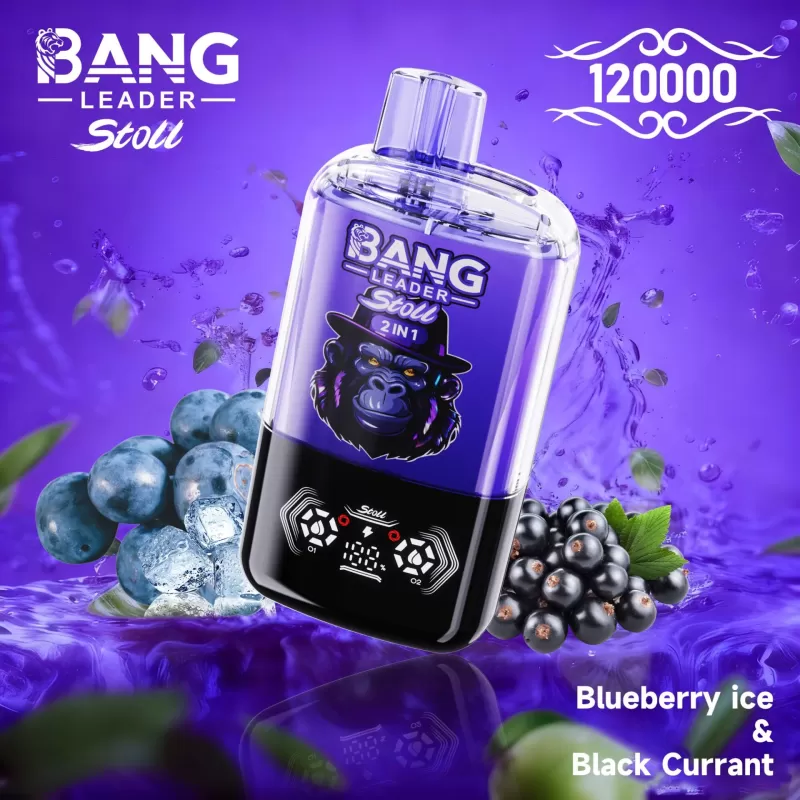 Bang Leader 120K | 2-in-1 120000 puffs, 60 ml, magnetic, dual-option, disposable vape, wholesale - Image 2