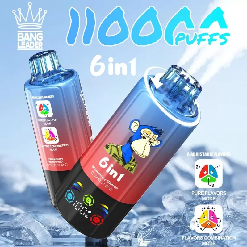Bang Leader 110K | 110000 puffs, 6 option switching modes, LED screen, smart bulk disposable vape