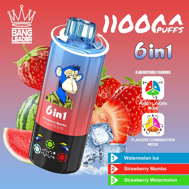 Bang Leader 110K | 110000 puffs, 6 option switching modes, LED screen, smart bulk disposable vape - Image 2