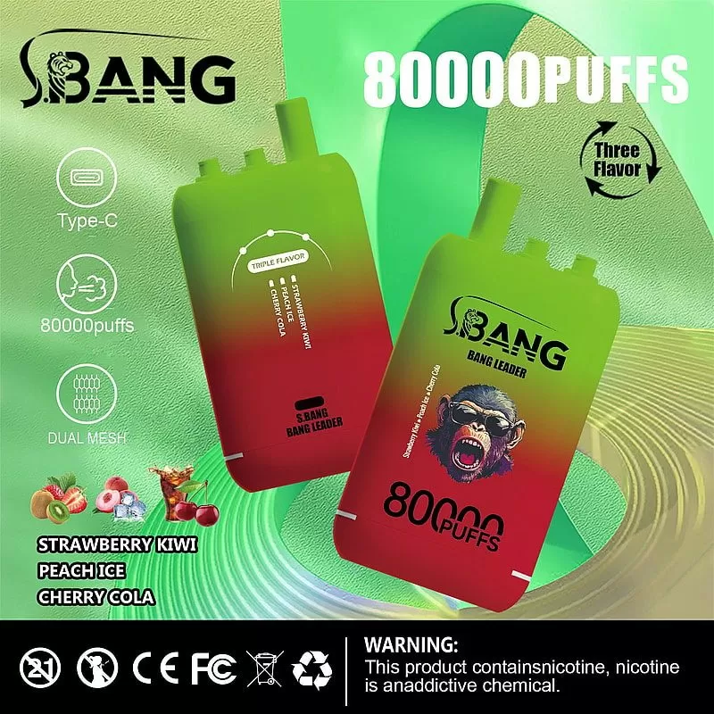 Bang Leader 80K | 80000 puffs, triple option, dual mesh, Type-C rechargeable, bulk disposable vape - Image 3
