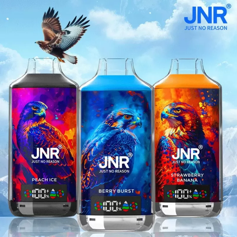 JNR Falcon X 18000 Puffs | 2% strength, 24mL, dual mesh & core, LED display, airflow control