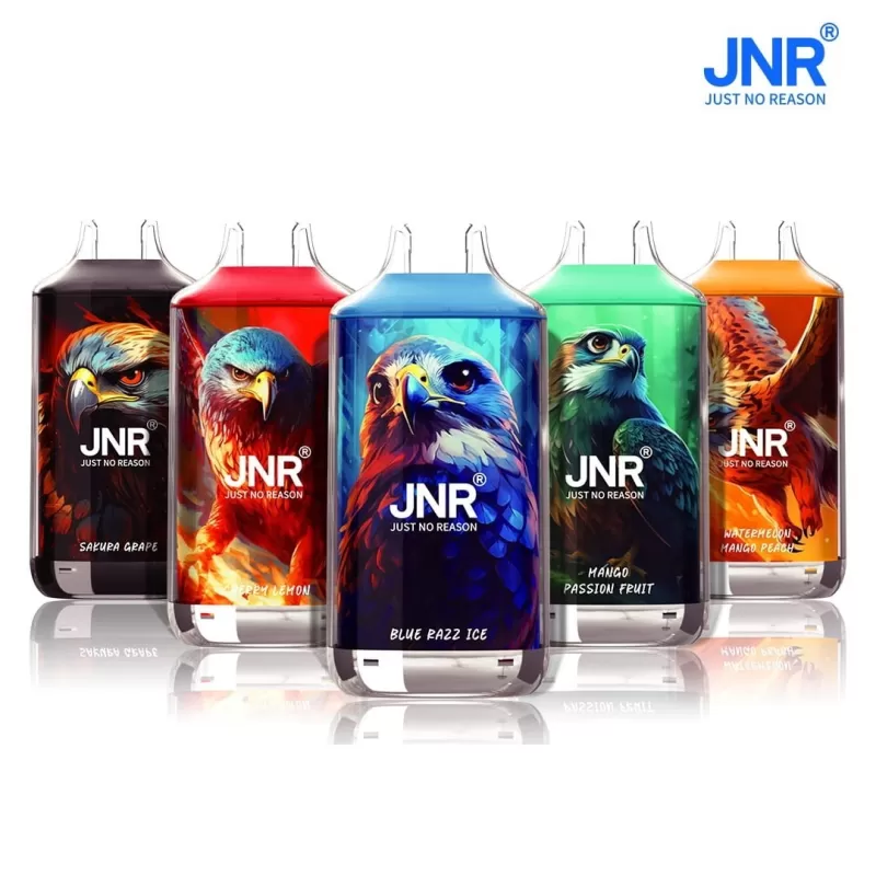 JNR Falcon 16000 Puffs | 2% strength, 22mL, dual mesh, airflow control, 850mAh, 28 options