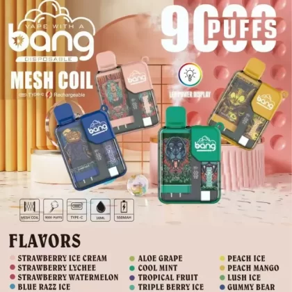 Bang 9000 Puffs | 0%-5% strength, bulk disposable vape