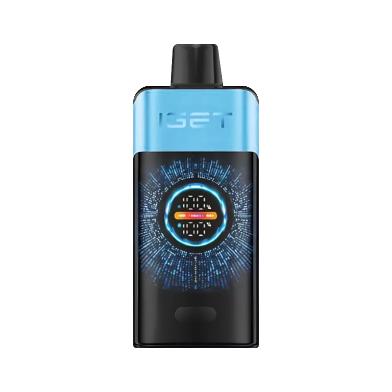 IGET ONE Blueberry Ice 12000 Puffs Vape