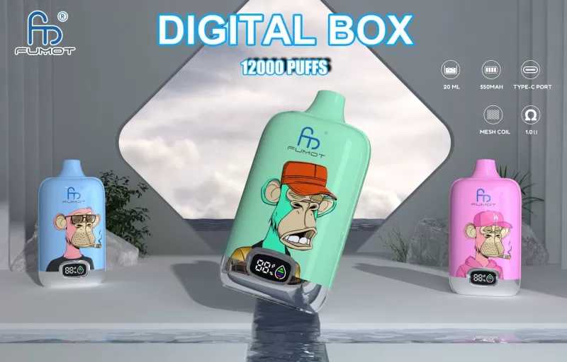 RandM Digital Box 12000 Puffs | 20mL, 850mAh, LCD screen, bulk disposable vape