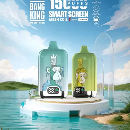 Bang King Smartscreen 15000 Puffs | 0%-5% strength, 25mL, smart display, bulk vape