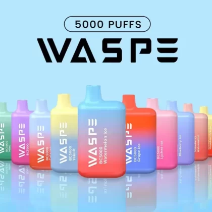 WASPE 5000 Puffs | 13mL, 0%-5% strength, bulk disposable vape