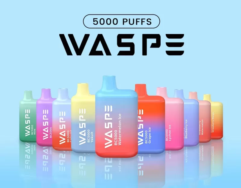 WASPE 5000 Puffs | 13mL, 0%-5% strength, bulk disposable vape