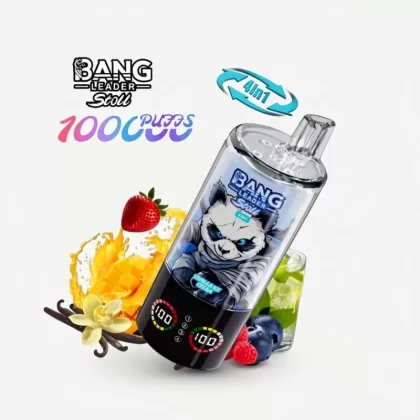 Bang Leader Stoll 100K 4 Flavors LED Display Disposable Vape
