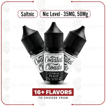 Coastal Clouds Salt 30mL E-Juice