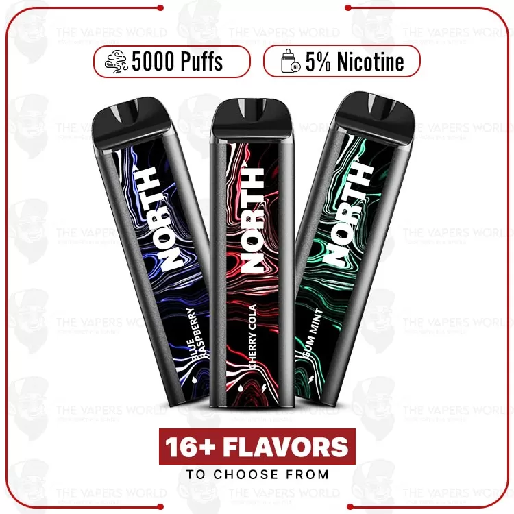 North 5000 Puffs Disposable Vape