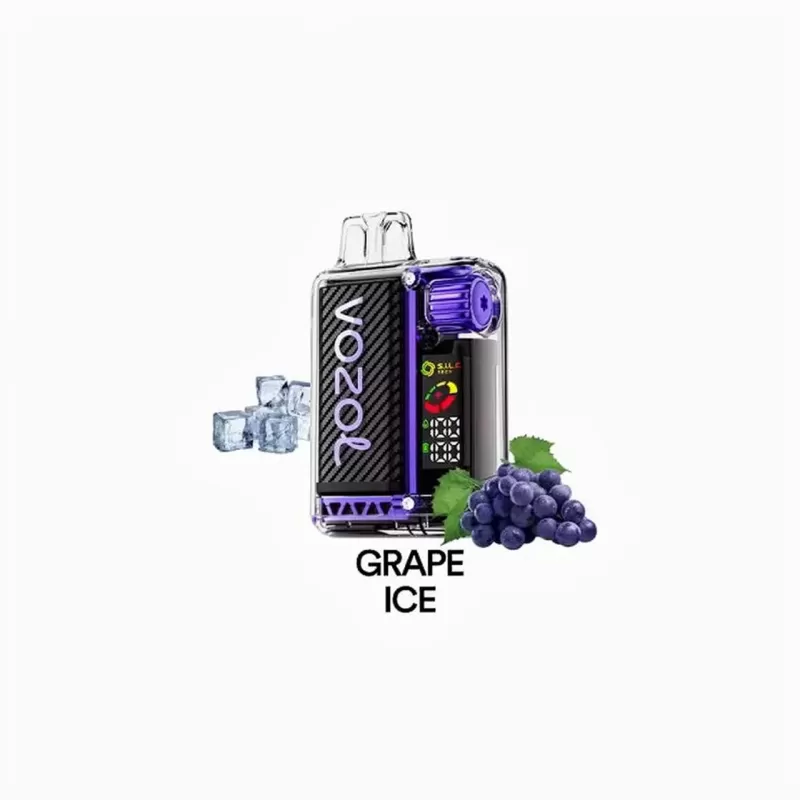 VOZOL VISTA 20000 Grape lce PUFF 5% | Rechargeable Vape