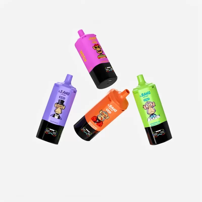 Bang Leader 450K Puffs Disposable Vape – Ice Ctrl Mesh Coil - Image 2