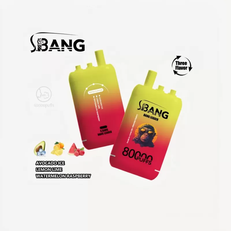 Bang Leader 80K Triple-Flavor Dual Mesh Disposable Vape - Image 2