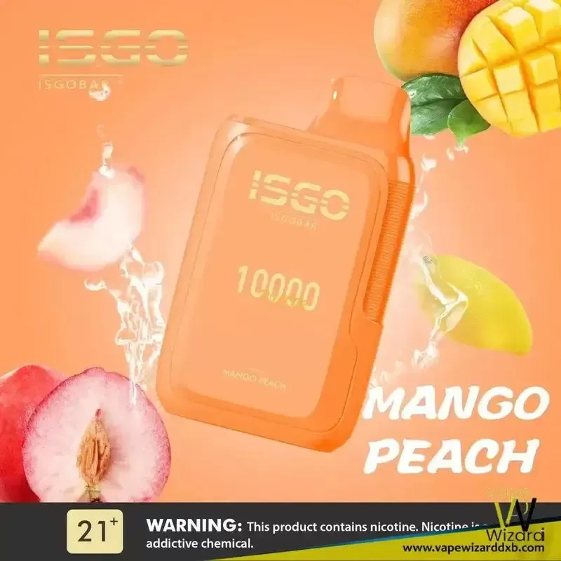 ISGO BAR 10000 Puffs 5% Nicotine Disposable Vape - Image 2