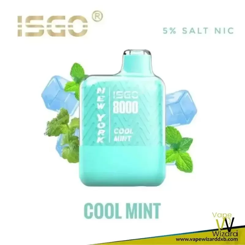 Isgo New York 8000 Puffs Rechargeable Disposable Vape - Image 3