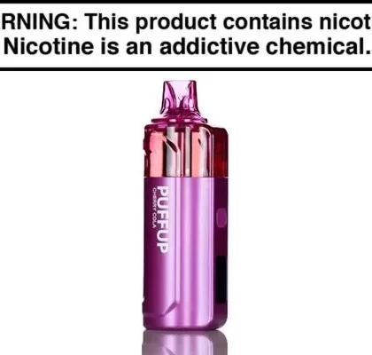 PUFFUP 25K DISPOSABLE VAPE – 25,000 PUFFS